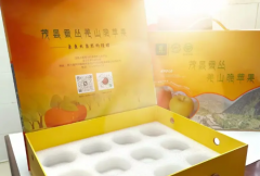 画册印刷企业宣传册设计制作手册公司产品图册定制三折页a4小册